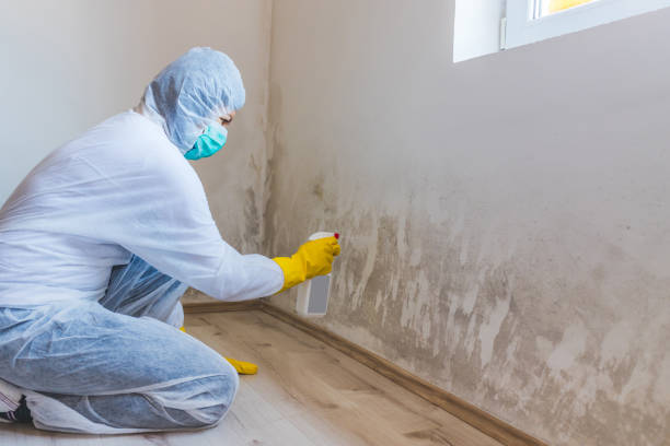 Hvac And Air Duct Mold Remediation inspection of HVAC system in Reinholds