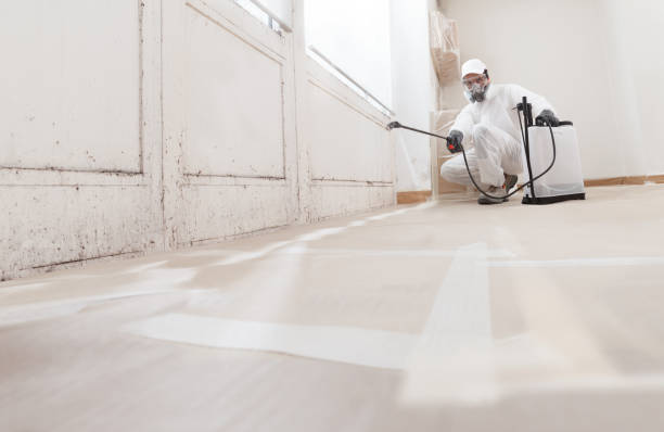 Post-remediation clearance in Reinholds